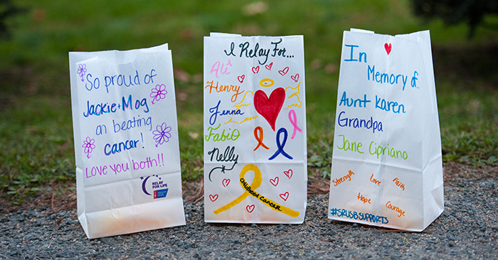 Details 73+ relay for life luminaria bags latest - in.duhocakina