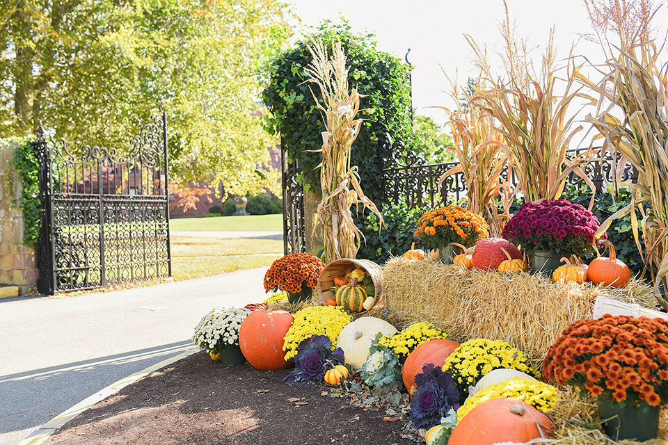 Salve Regina’s annual Fall Festival Weekend to return this year for ...